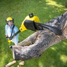 Lawn Drainage Solutions in Kaukauna, WI